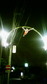 200803232207000.jpg