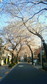 200803261623000.jpg