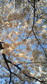 200804011533000.jpg