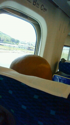 200905151200000.jpg