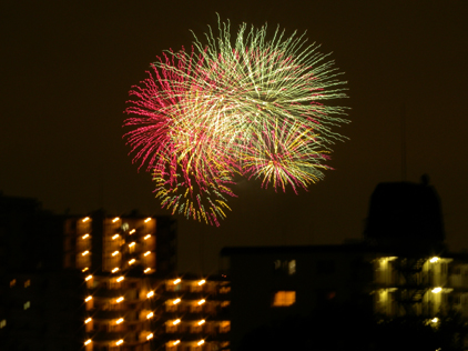 DSCN4883g.jpg