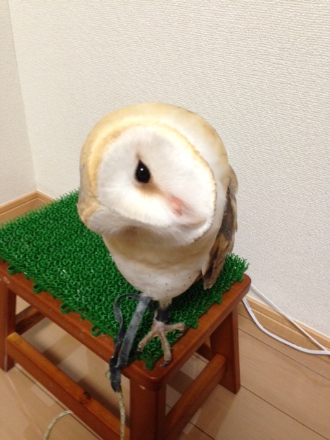写真-2.jpeg