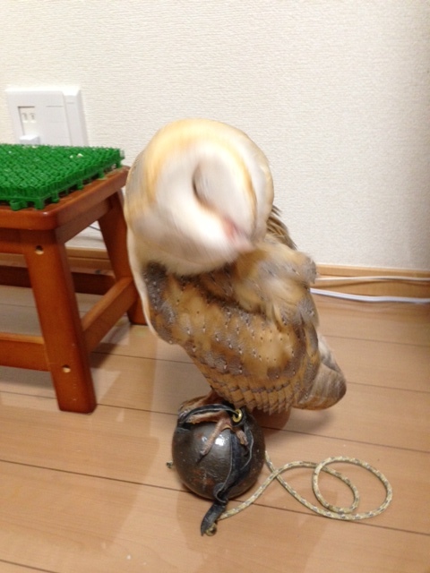 写真-6.jpeg