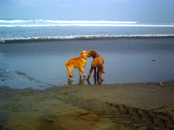 PICT0028.jpg